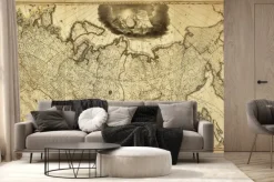 Fototapeta: Stara mapa rosji, wydrukowany w 1786 roku