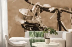 Fototapeta: Stary rower z ubiegłego wieku używane do transportu mleka przez