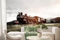 Fototapeta: Steam train in a open countryside transportation concept