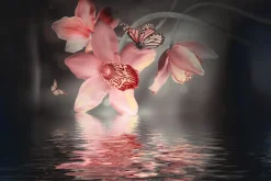 Fototapeta: Storczyk z motyle na tle wody