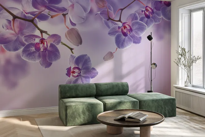 Fototapeta: Storczyki fioletowe zwisające z góry