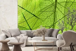 Fototapeta: Struktura liścia w powiększeniu