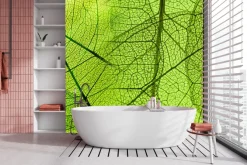 Fototapeta: Struktura liścia w powiększeniu