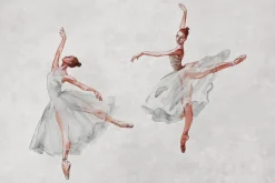 Fototapeta: Subtelne baletnice tańczące na betonowej powierzchni