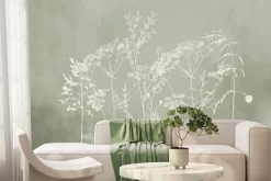 Fototapeta: Subtelne białe trawy na zielonym tle