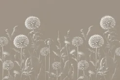 Fototapeta: Subtelne dmuchawce na łące