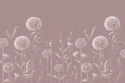 Fototapeta: Subtelne dmuchawce na łące