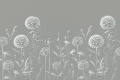 Fototapeta: Subtelne dmuchawce na łące