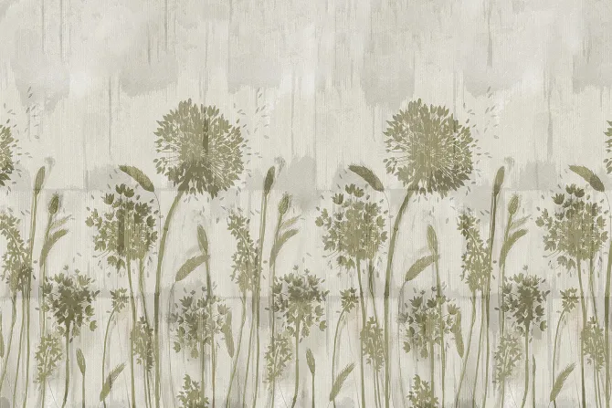 Fototapeta: Subtelne dmuchawce na szarym tle