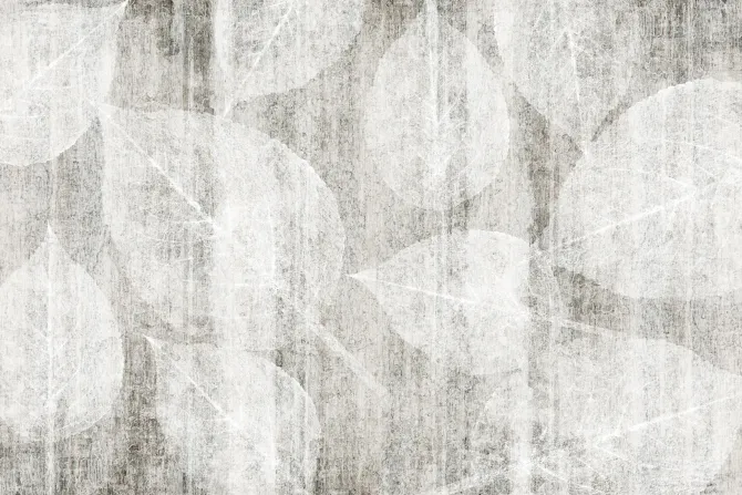 Fototapeta: Subtelne liście na tekturowym tle w odcieniach szarości