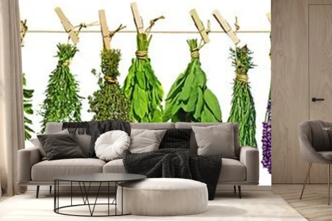 Fototapeta: Suszące się bukiety ziół