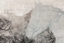 Fototapeta: Sylwetka konia wśród drzew