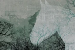 Fototapeta: Sylwetka konia wśród drzew