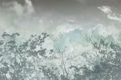 Fototapeta: Sylwetki drzew