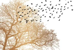 Fototapeta: Sylwetki ptaków i drzewa w minimalistycznym stylu