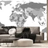 Fototapeta: Szara polityczna mapa świata