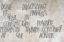 Fototapeta: Szare angielskie napisy na betonie