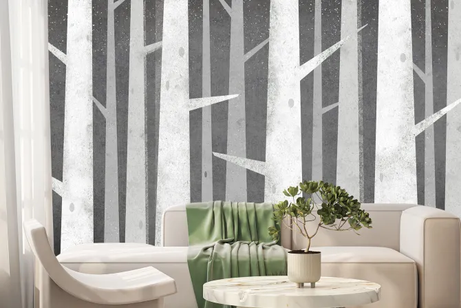 Fototapeta: Szare pnie brzozy z kolczastymi gałęziami