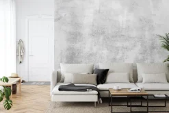 Fototapeta: Szary surowy beton