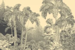 Fototapeta: Szkic bujnej botaniki lasu w sepii