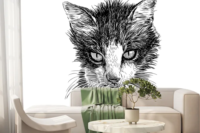 Fototapeta: Szkic czarno-białego kota