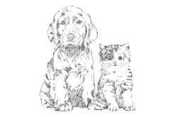 Fototapeta: Szkicowany rysunek psa i kota