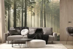 Fototapeta: Szron w jesiennym lesie