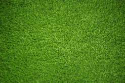 Fototapeta: Sztuczna zielona trawa