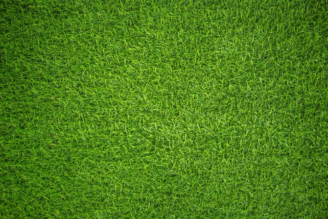 Fototapeta: Sztuczna zielona trawa