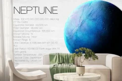 Fototapeta: Tablica z informacjami o neptunie