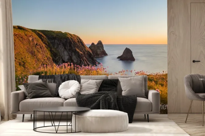 Fototapeta: The coast of ceibwr in pembrokeshire, wales with pink sea thrift