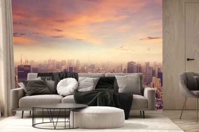 Fototapeta: Tokyo skyline