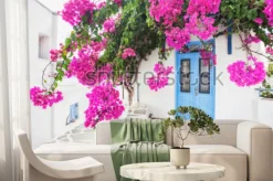 Fototapeta: Tradycyjny grecki dom z kwiatami na wyspie paros, grecja