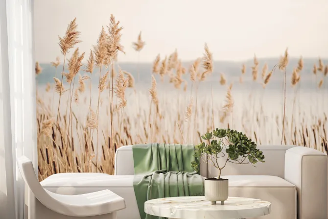 Fototapeta: Trawa dekoracyjna nad jeziorem