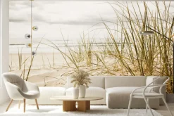 Fototapeta: Trawa na piaszczystej plaży morskiej