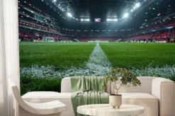 Fototapeta: Trawa na stadionie piłkarskim