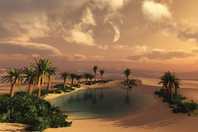 Fototapeta: Tropikalna pustynia z palmami i wodą