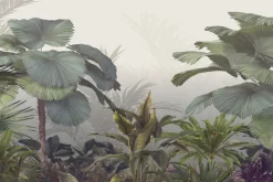 Fototapeta: Tropikalne drzewa i liście w mglistym lesie
