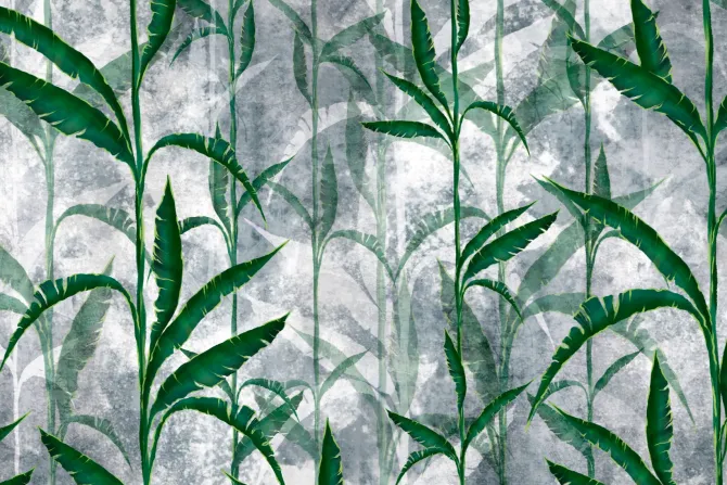 Fototapeta: Tropikalne liście na betonie