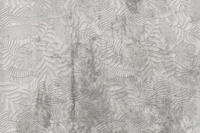 Fototapeta: Tropikalne liście na teksturowym betonowym tle