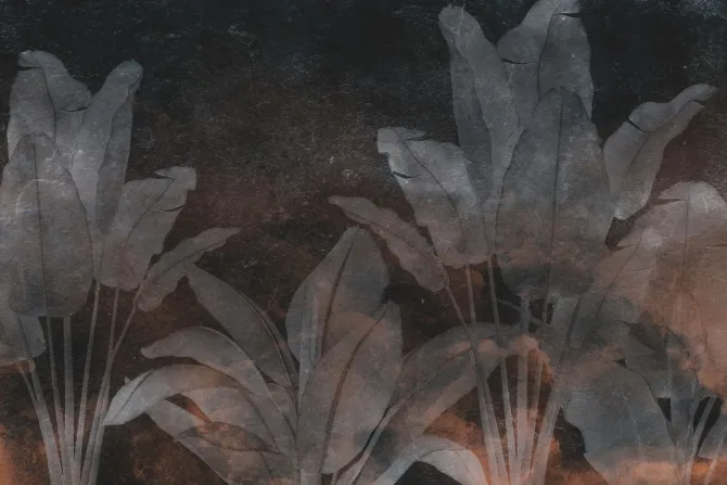 Fototapeta: Tropikalne rośliny na ciemnej betonowej ścianie