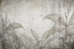 Fototapeta: Tropikalne rośliny liście