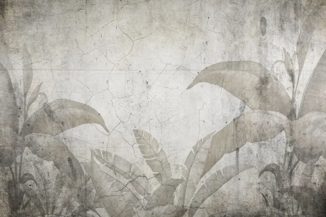 Fototapeta: Tropikalne rośliny liście