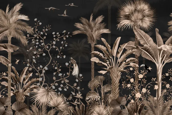 Fototapeta: Tropikalne rośliny palmy monstery