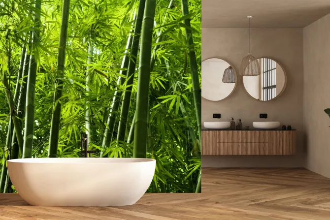 Fototapeta: Tropikalny las bambusowy