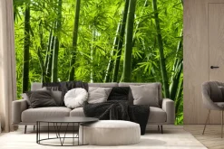 Fototapeta: Tropikalny las bambusowy