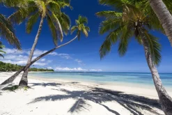 Fototapeta: Tropikalny raj krajobraz wyspa fidżi