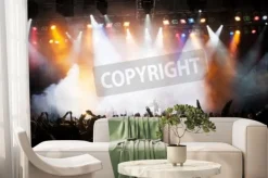 Fototapeta: Tłum na koncercie