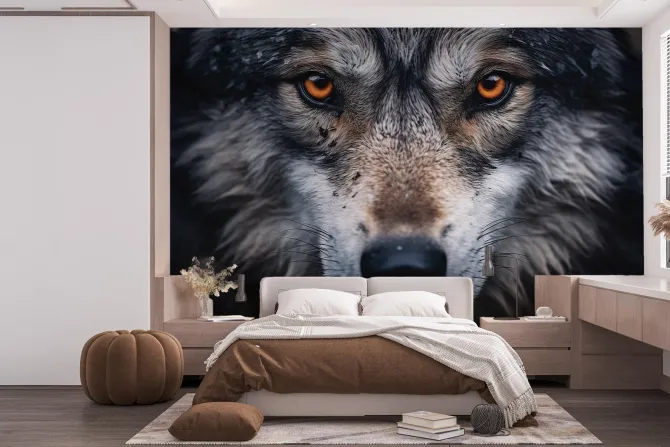 Fototapeta: Twarz wilka widziana z bliska