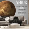 Fototapeta: Venus - infograficzna prezentuje jedną z planet układu słonecznego